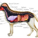 뉴월드 동물병원 이미지