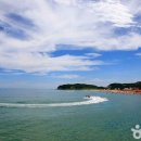 대전해수욕장3 이미지