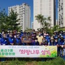 희망나무심기3 이미지