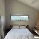 스테이 경화 이미지