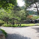 소나무정원 이미지