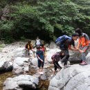 야호캠프 이미지