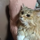 을지우림약국 이미지