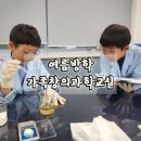 재미있는 창의과학교실 | 여름방학 가족창의 과학교실 경상북도교육청 과학원 로켓발사