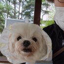 행복한 집밥 이미지