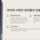 법인포렘