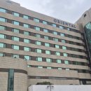 제주시동문재래시장 | 여행 3박 4일 ✈️ ① 첫째날 | 제주공항 도착·동문재래시장 회 솔직후기·제주 오리엔탈 호텔 숙소 후기