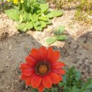 와썹PC방 이미지