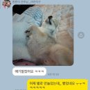 둥실둥실유치원 | 유치원 후기 🐥