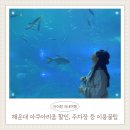편월경로당 | 부산 씨라이프 해운대 아쿠아리움 할인 예매 주차장 수유실 이용 꿀팁