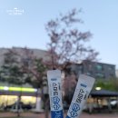 육터