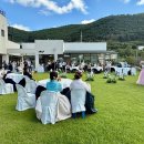 피어나다 이미지