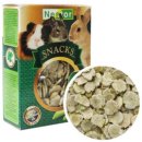 헬로 리틀 애니멀 이미지