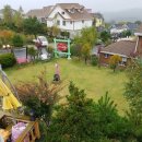 풍차랑 허브랑 이미지