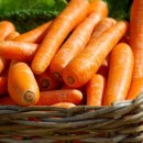 공복회관 이미지