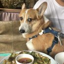 백운산장앞 이미지