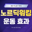 전신 걷기 운동 노르딕 워킹 | 노르딕 워킹 효과로 40대 여자 전신운동 추천