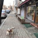 김밥나라 칠전점 이미지