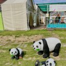 영천솔롱고글램핑 이미지