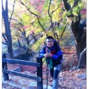 단풍이야기 이미지