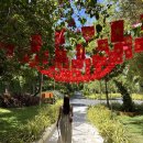 아나푸드 | 나트랑 아나만다라 조식 시간 좌석 메뉴 총정리