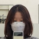 선릉역 미용실 : 선릉 엘도라헤어 염색 후기 (브라운염색)