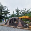 산나물 도시락 코스 이미지