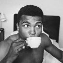 이준호농장 이미지