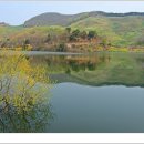 서산농장 이미지