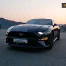 쌍둥이주유소 | 결국 사고 쳤습니다! 쌍둥이 아빠가 10년 참다 지른 포드 머스탱 GT 신차 출고 후기 및 머슬카 가이드