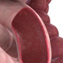 더 조은병원 이미지