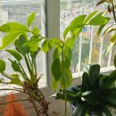 토탈카센타 이미지