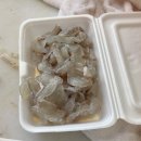 [경주맛집] 싱싱한 횟감을 직접보고 맛 볼 수 있는 읍천어촌계활어직판장 방문 후기(초장집에서 식사 가능)