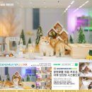 문캐터리 | 평택 캐터리에서 만난 내 인생의 고양이 이야기