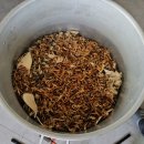 청풍명월 이미지