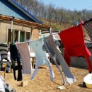 호야농장 이미지