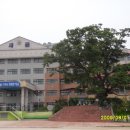 새금초등학교 Daum카페