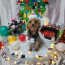 놀러오개 서산점 이미지