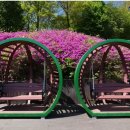 헬스보이짐&골프인 가산역점 이미지