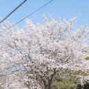 용신중학교 이미지