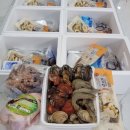 삼포수산 네이버블로그