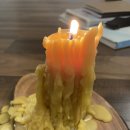 오랜 가뭄 끝에 단비를 맞다. [꿈 모임 후기]