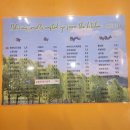 맛있는집 소풍 이미지