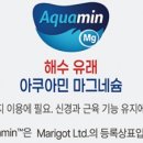 참약사드림약국 네이버블로그