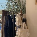 스타키친 이미지