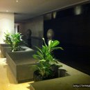 더힐튼피트니스 이미지