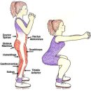 머슬제이 퍼스널트레이닝 구월점 이미지