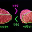 꽃보다 등심 이미지