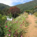 화악산잣