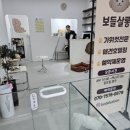 보들살롱 이미지